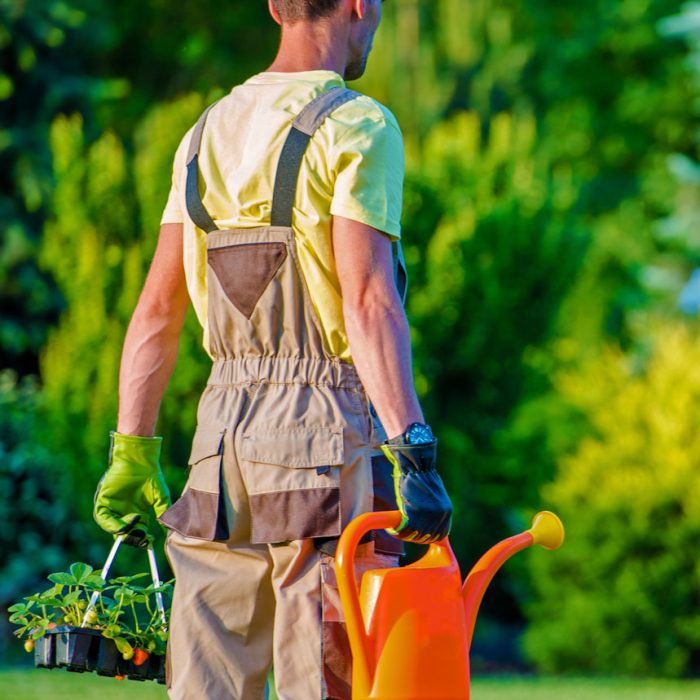 gardener-and-his-garden-job-2021-08-26-23-04-32-utc.jpg